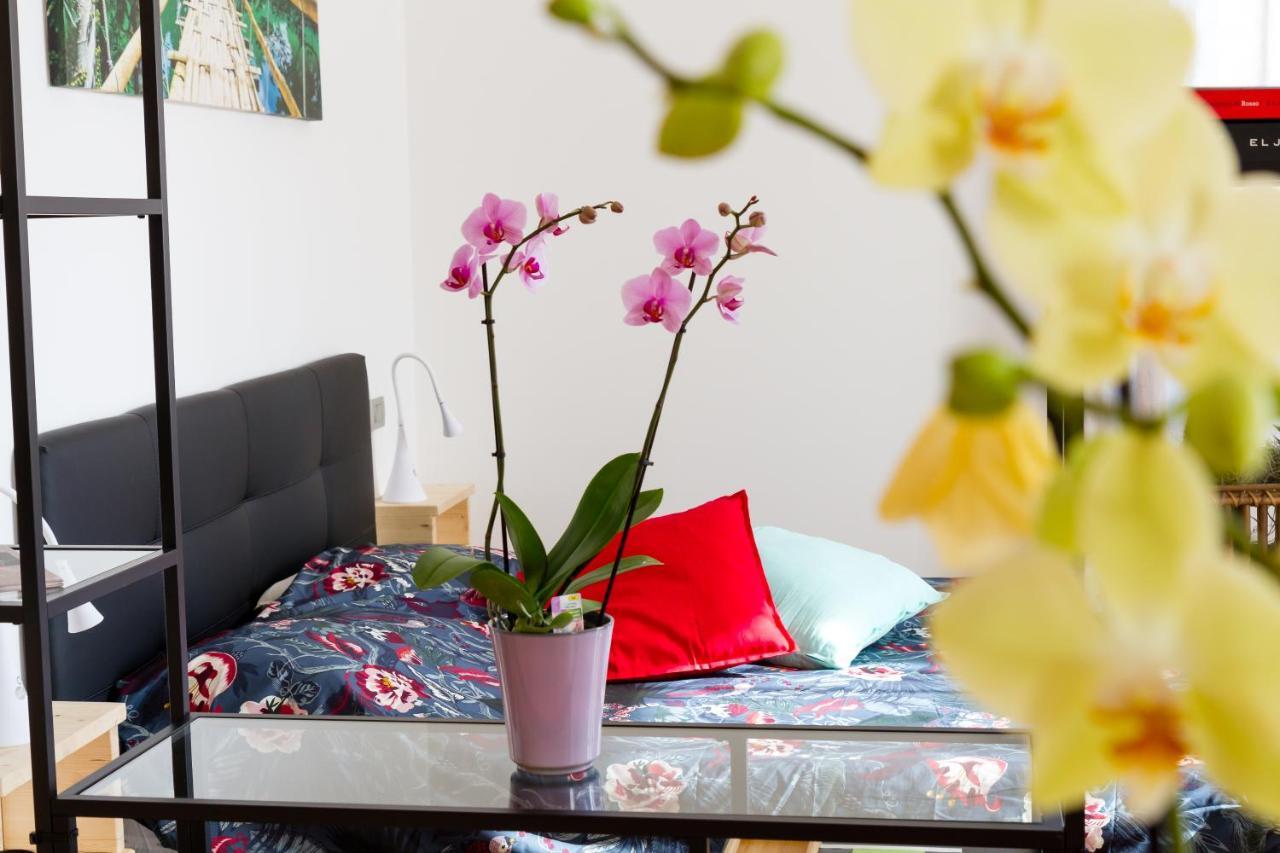 Apartment Montecchi *