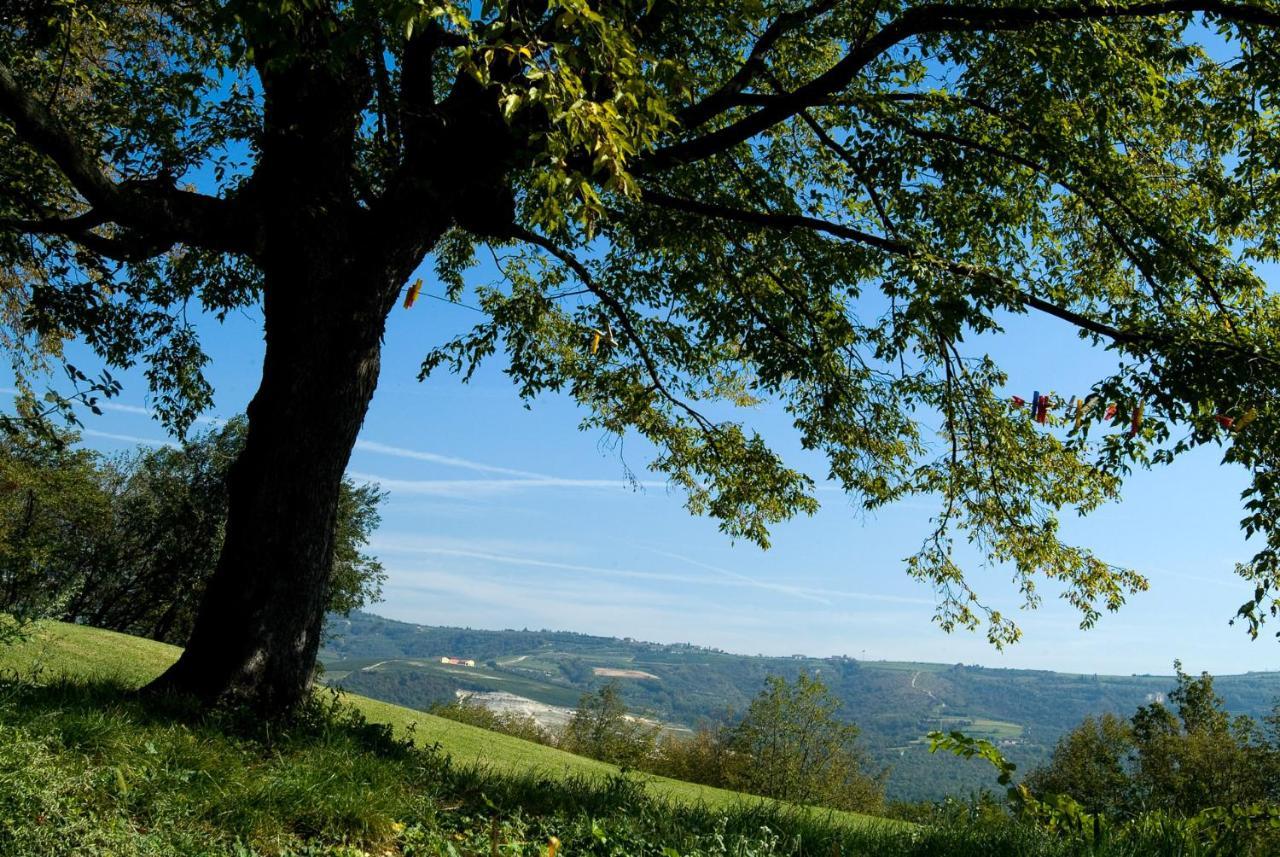 Farm stay Tenuta Delo Relais