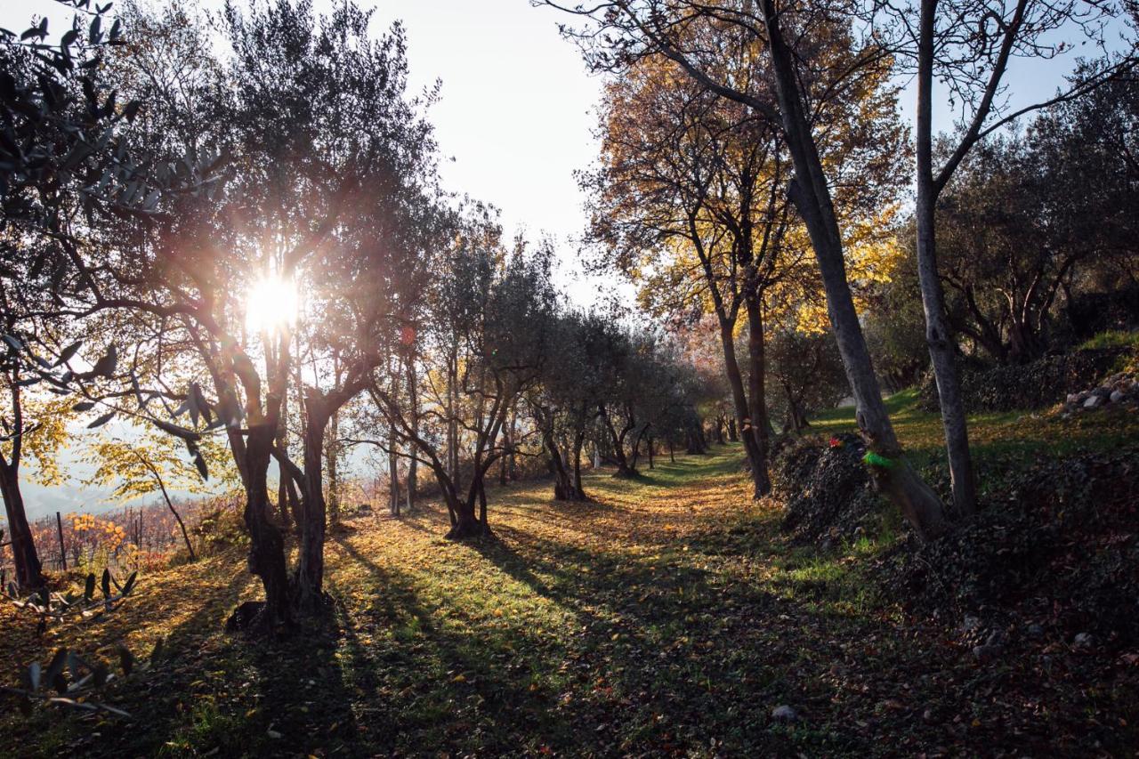 Tenuta Delo Relais Farm stay *