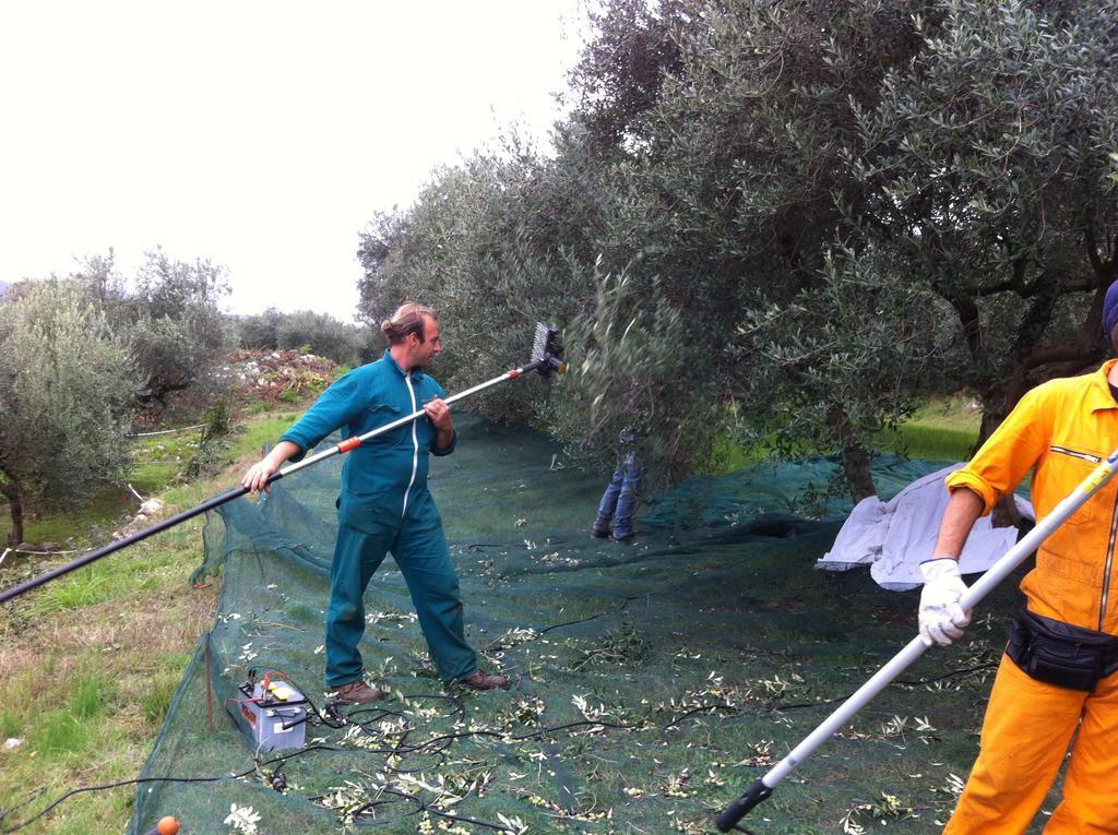 Vakantieboerderij Casa Rosa *
