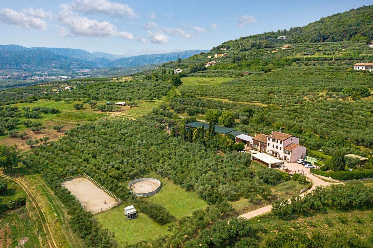 Vakantieboerderij Casa Rosa *