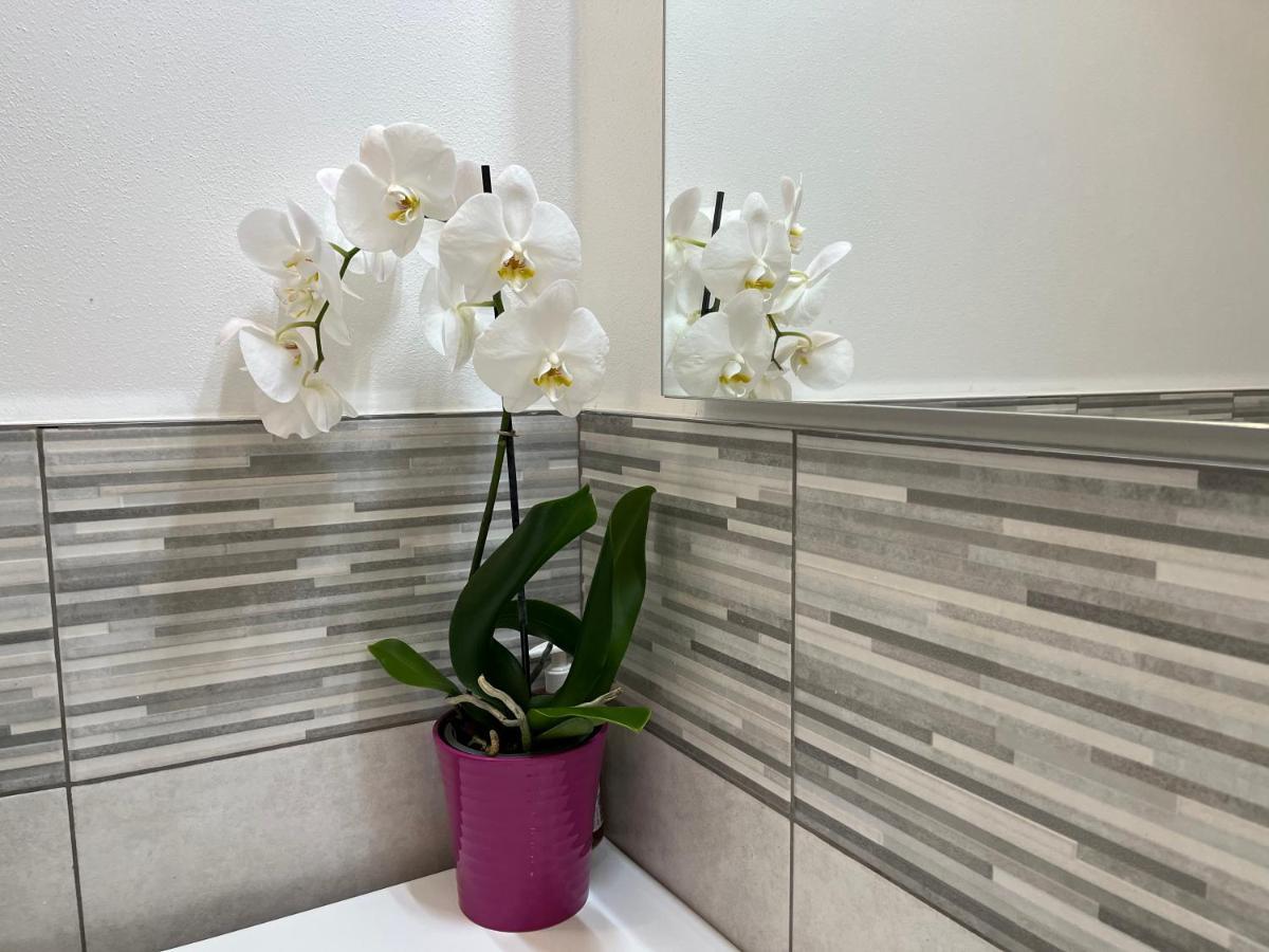 Le Stagioni Dellarena Apartment Verona