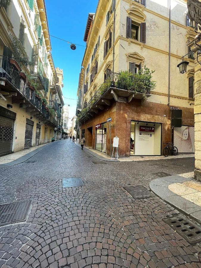 Magnolia - Piazza Delle Erbe *