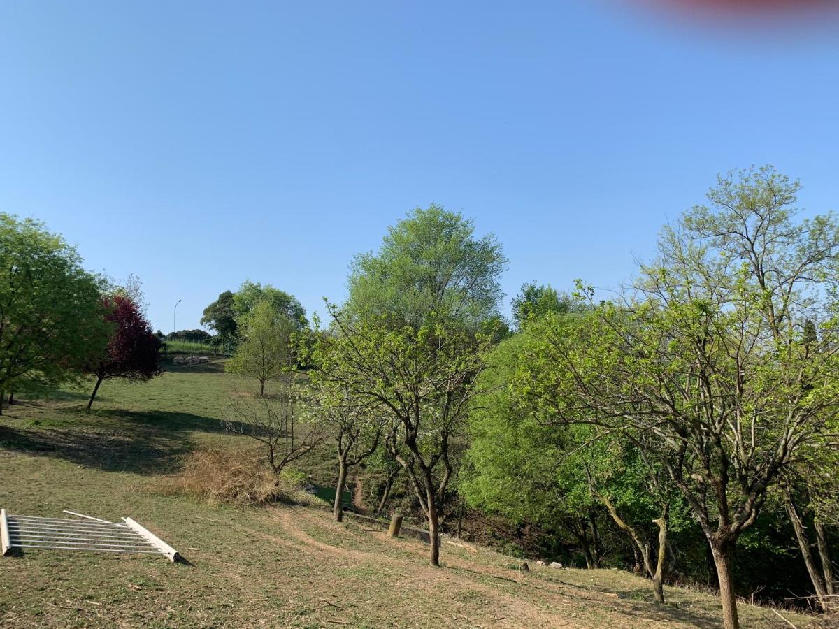 Biệt thự Isidoro Ampio Parco ,piscina Privata, Arte E Giochi , Fitness Verona