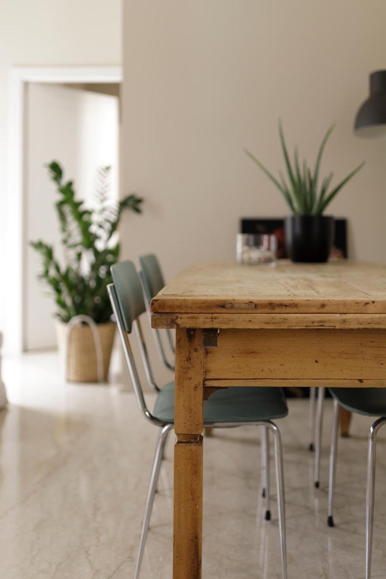 Apartment Noflik