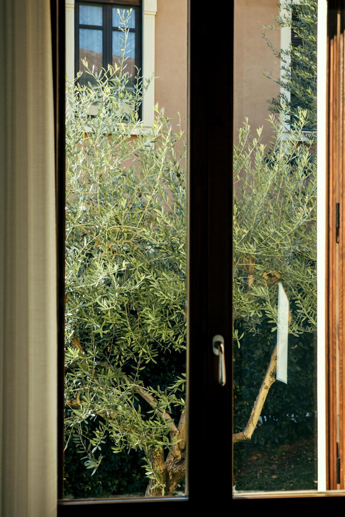 Naboo Luxury Guest house *