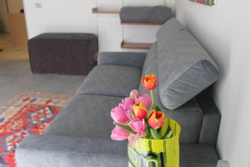 Mela Apartment