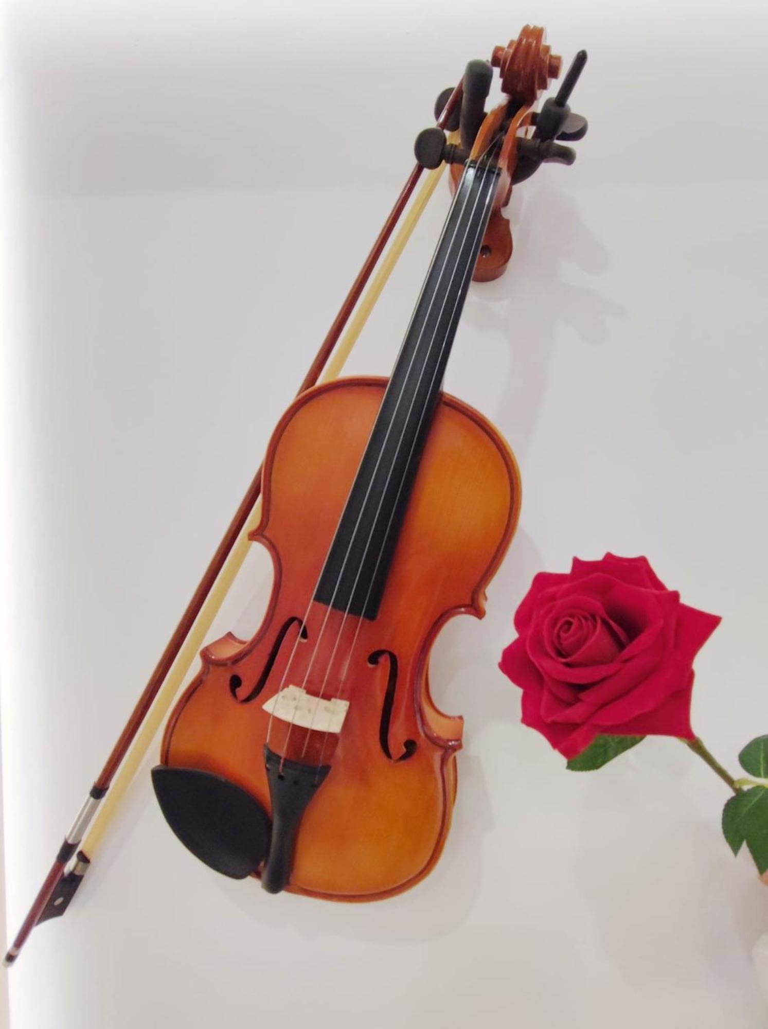 Apartment Arena Concert Concerto - Historic House Amorino At 