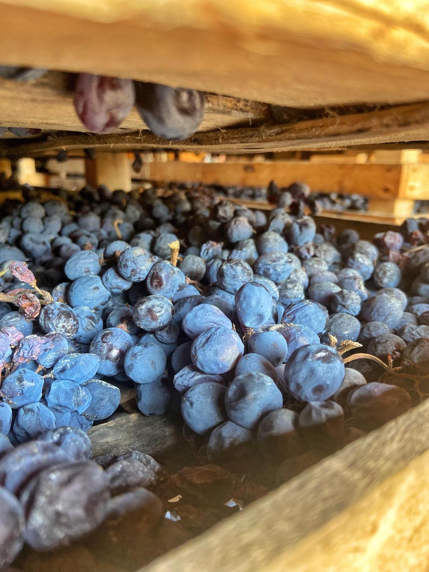 Bauernhof La Vineria Di San Mattia *