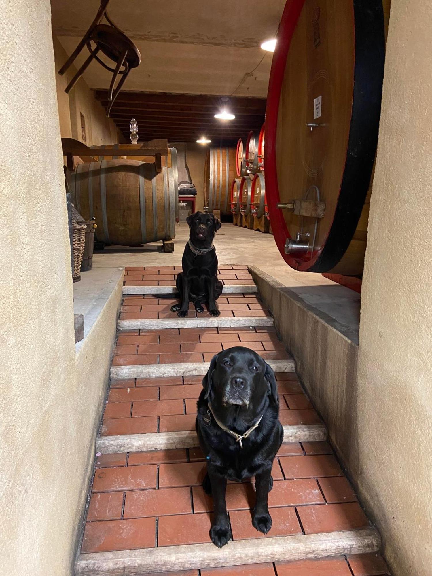 La Vineria Di San Mattia Bauernhof *