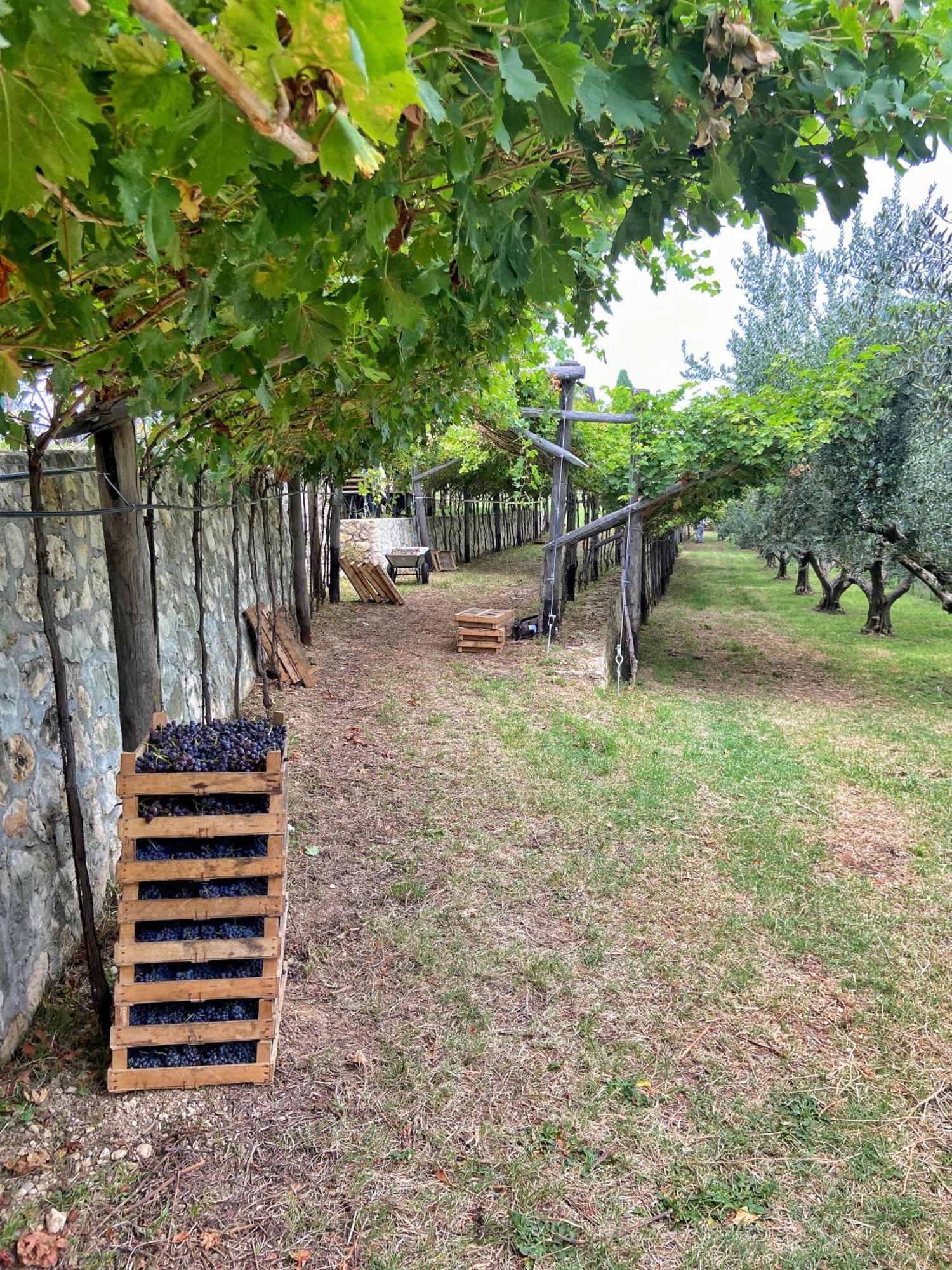 La Vineria Di San Mattia Bauernhof Verona