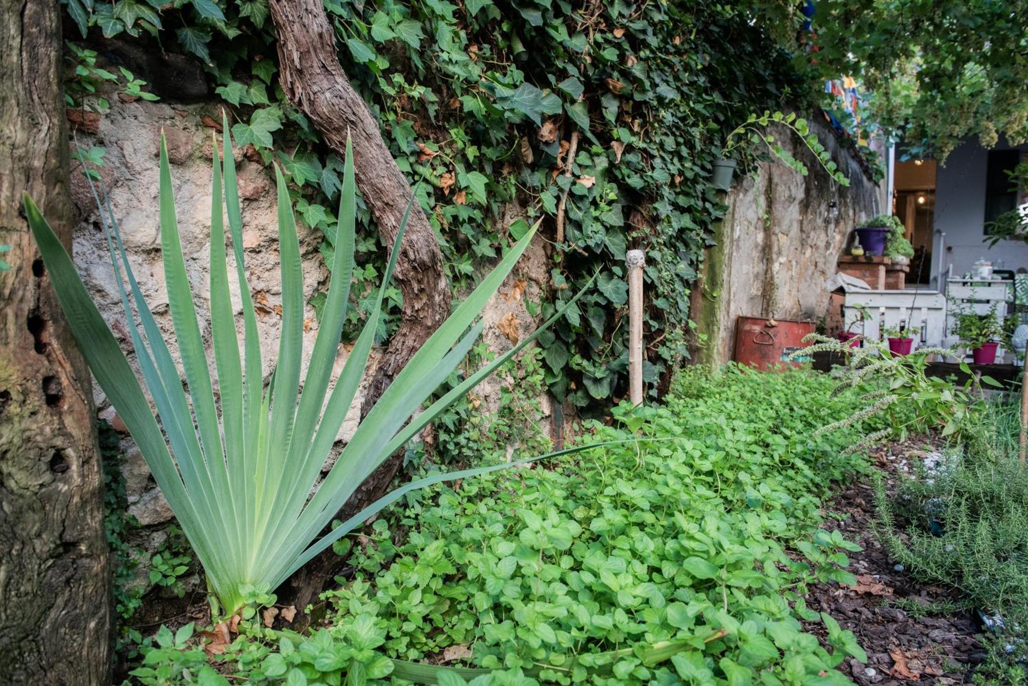 Casa Babbuino *