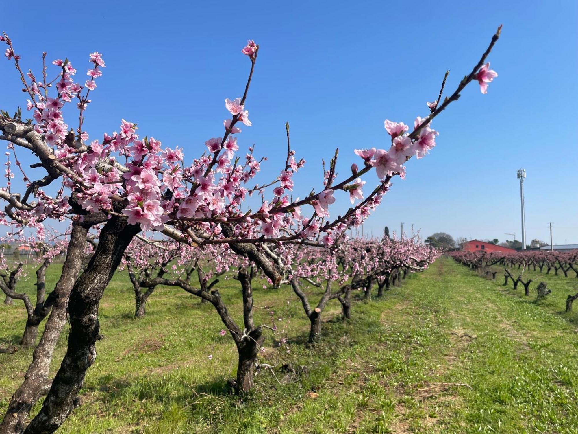 Farm stay Corte Vecia Della Corte Verona