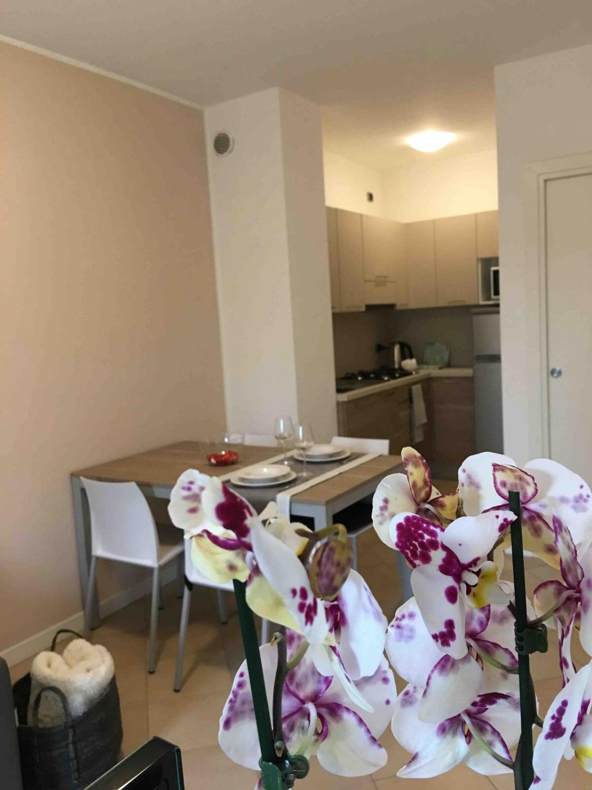Apartment Ponte Pietra In 600 Meters! In Verona