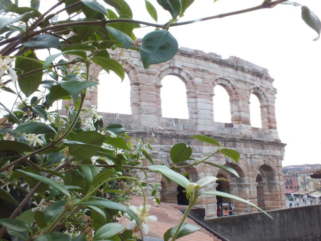 La Terrazza Sull'arena *