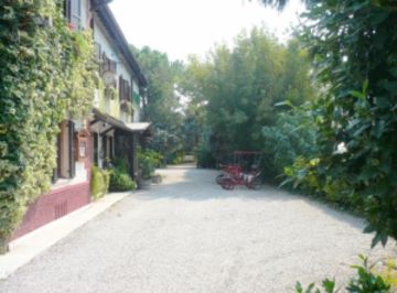 Hotel Park Elefante