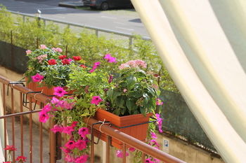 Delle Rose Rooms Guest house
