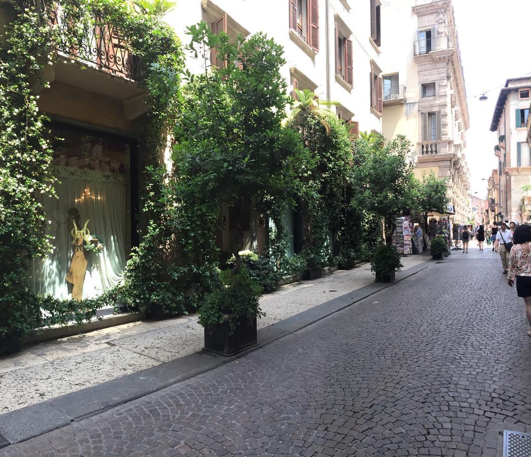 Gabbia D'oro Verona