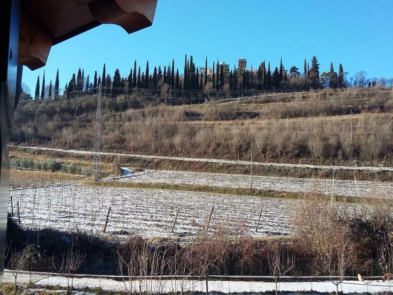 Agriturismo Corte Carolina Verona