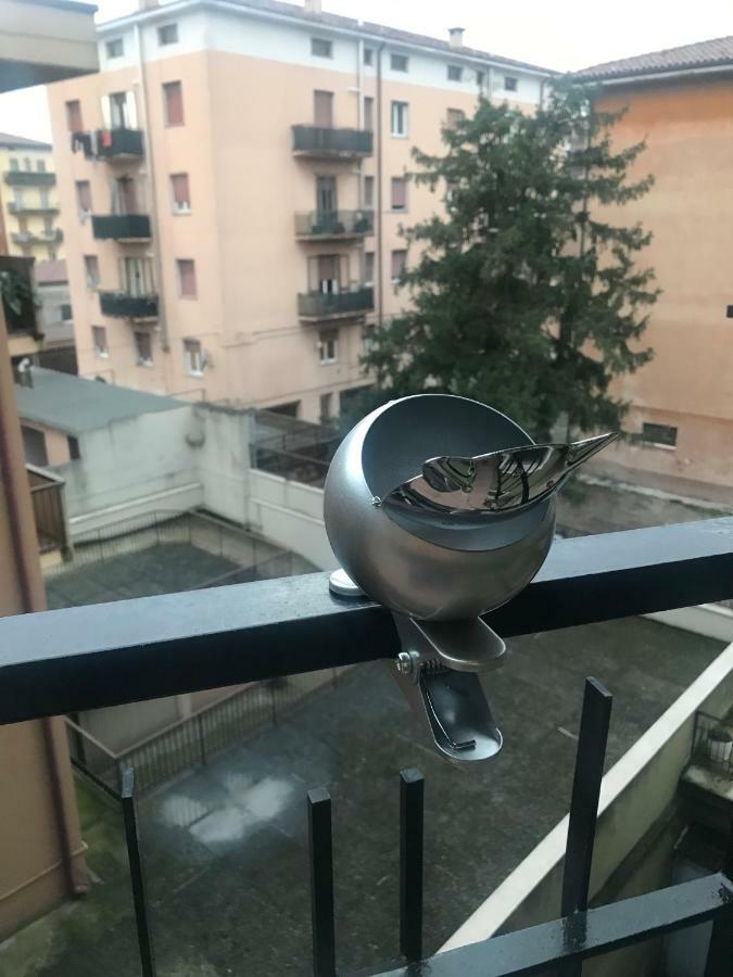 Gipsy Verona