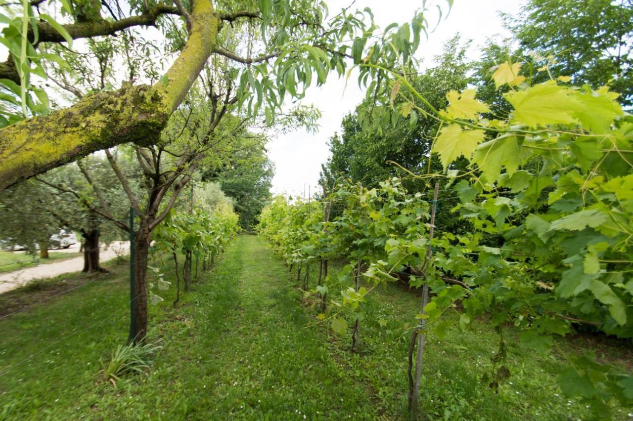 Tenuta Engi * Verona